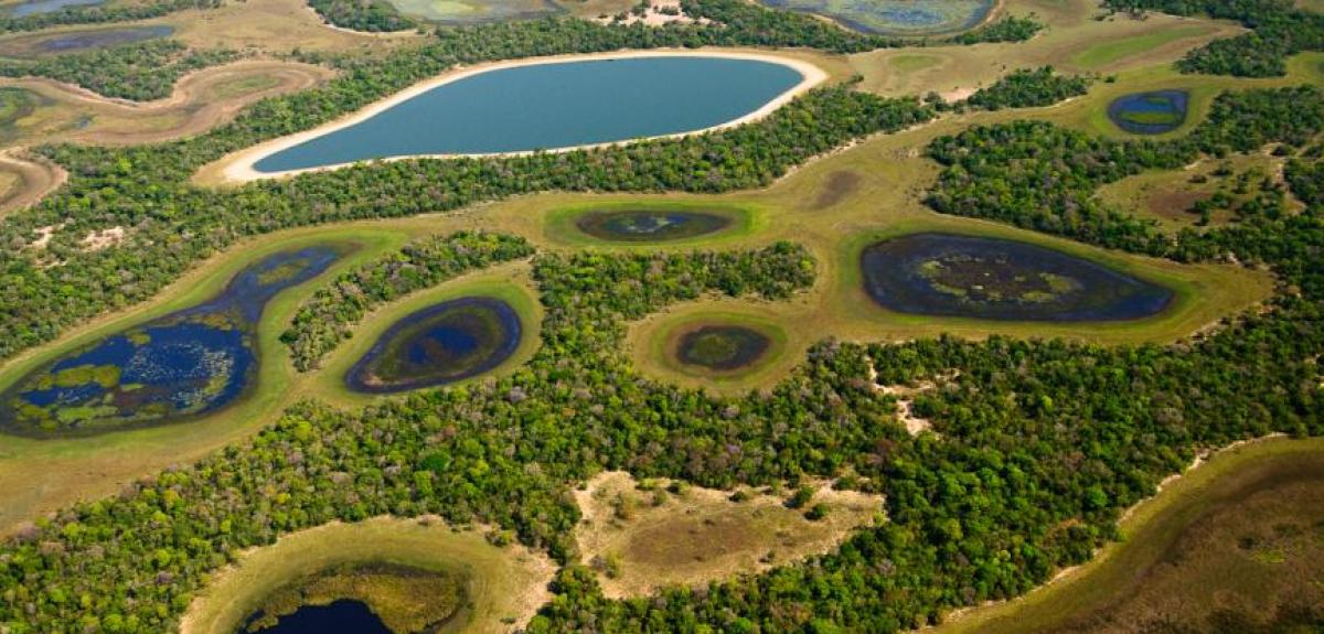 Foto: www.sospantanal.org.br/pantanal